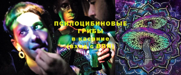 МДПВ Аркадак